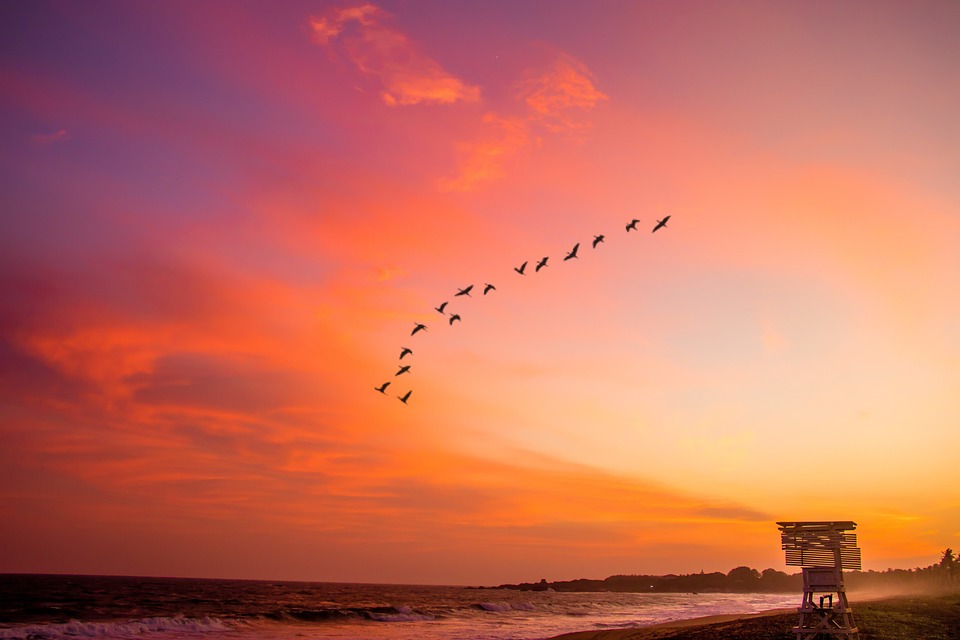 Stilt Fishermen: Sri Lanka’s Unique Tradition