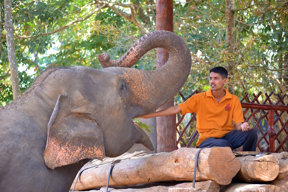 Exploring Browns Beach: A Guide to Sri Lanka’s Hidden Gem