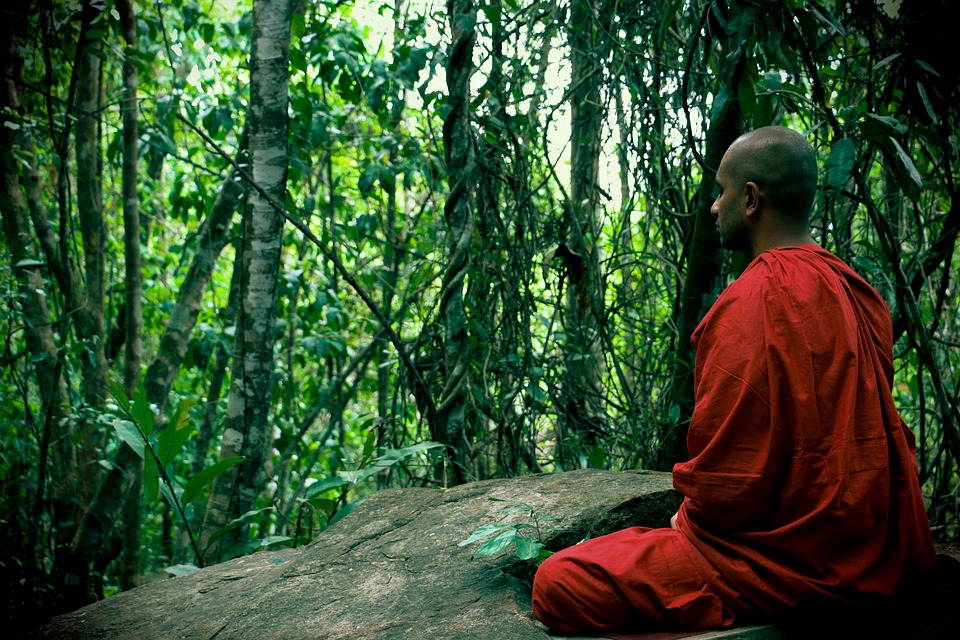 Exploring Udawalawe National Park in Sri Lanka