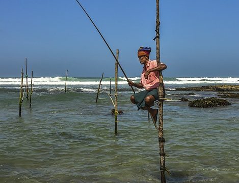 Experience the Magic of Gal Oya Lodge in Sri Lanka